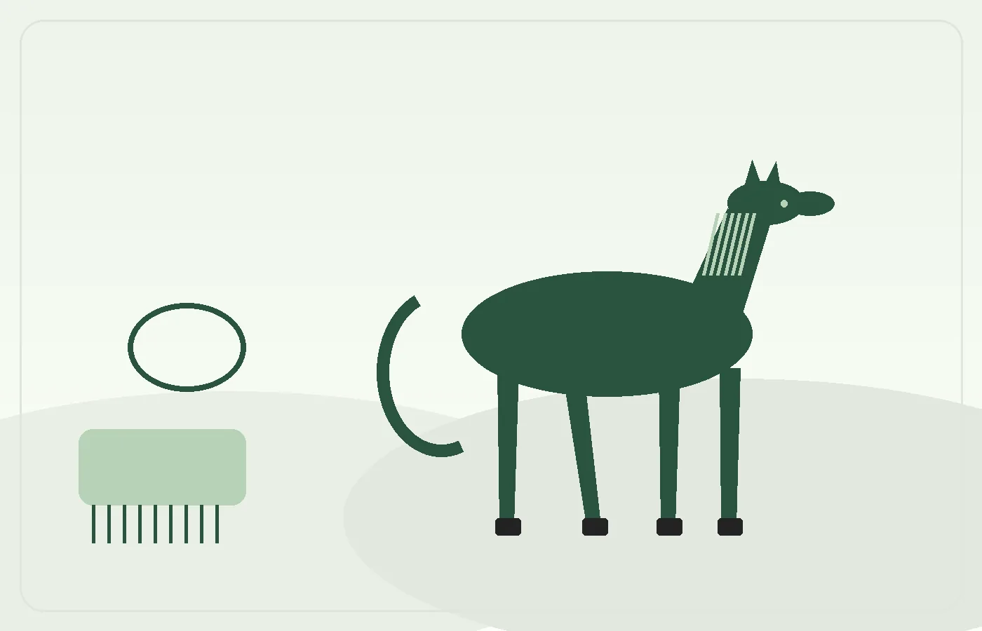 Practical horse care illustration for How to Bathe a Horse Safely Without Drying Out the Coat
